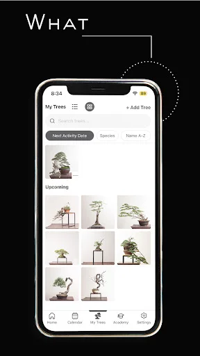 Mirai Mobile ڈاؤن لوڈ کریں – بونسائی کی ماہرانہ رہنمائی - Screenshot 3