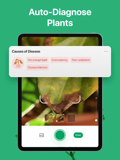 PictureThis ڈاؤن لوڈ کریں – پودوں کی فوری شناخت اور دیکھ بھال - Screenshot 12