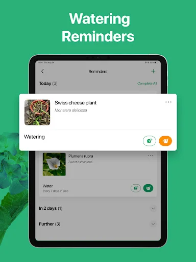 PictureThis ڈاؤن لوڈ کریں – پودوں کی فوری شناخت اور دیکھ بھال - Screenshot 13
